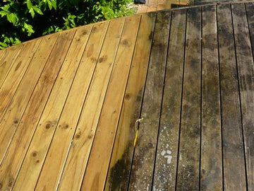 Preventing and Treating Mould on Timber Decks. Tips for a Long-Lasting Outdoor Space!