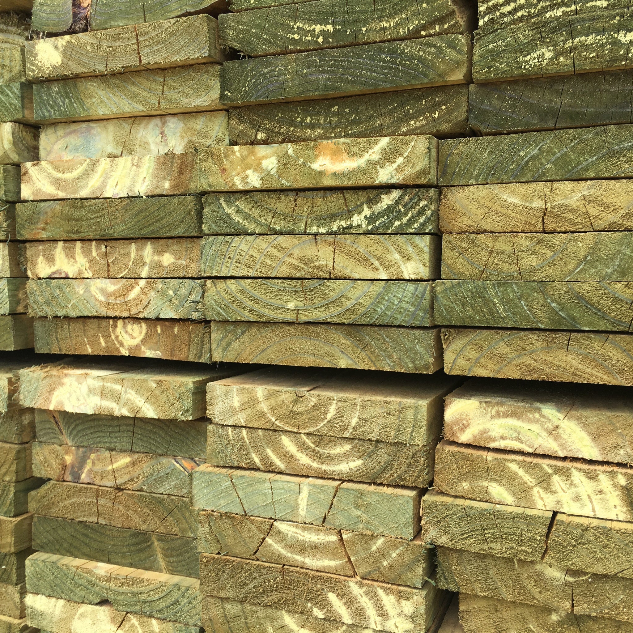 Treated Pine Sawn H4 Garden Edge 100 X 25 Timber 5.4m