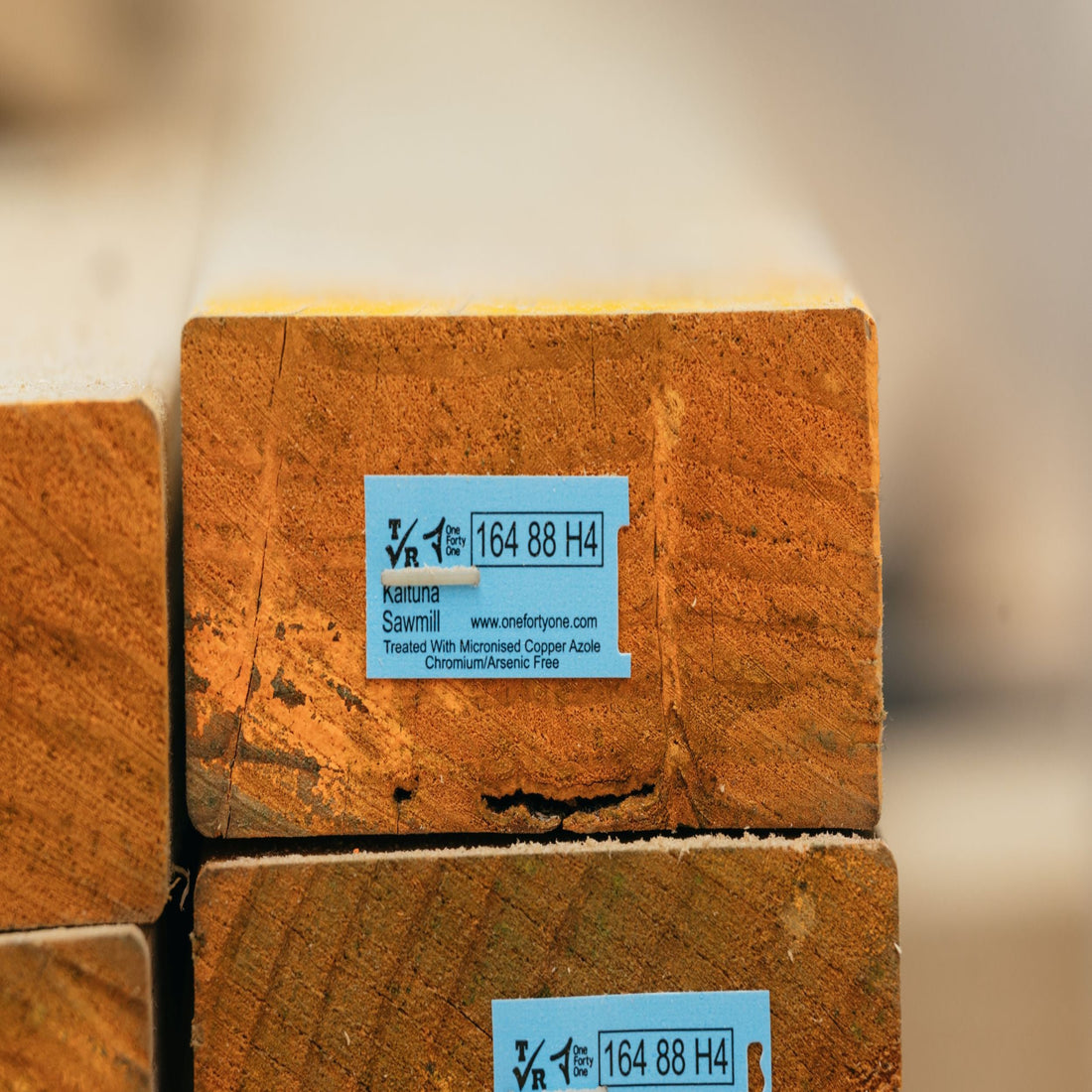 tasman kb everjoist H4 MCA MGP10